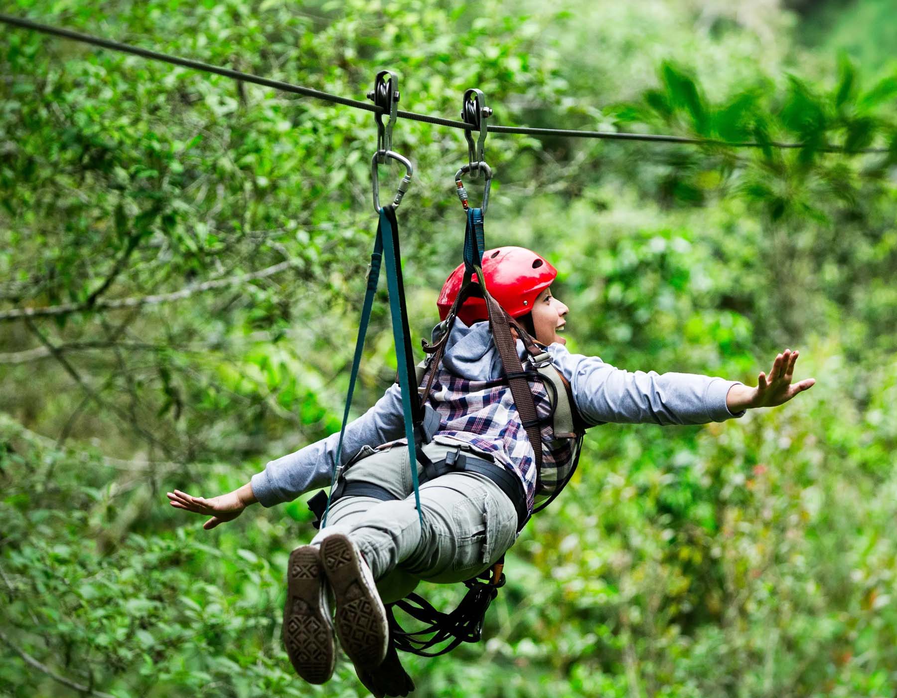 flying fox