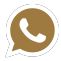 whtsapp icon
